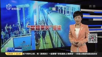 国产牲服务视频在线,揭秘国内牲畜养殖行业新趋势