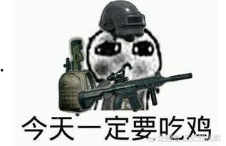 国产9p吃鸡视频,畅爽体验，一触即达的射击快感