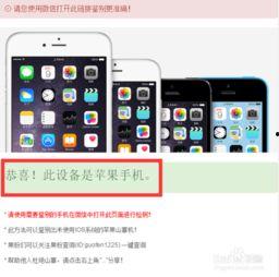 如何辨认国产苹果真假视频,视频教你轻松辨认