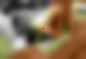 国产欧美h在线网站视频,揭秘热门视频背后的故事与现象